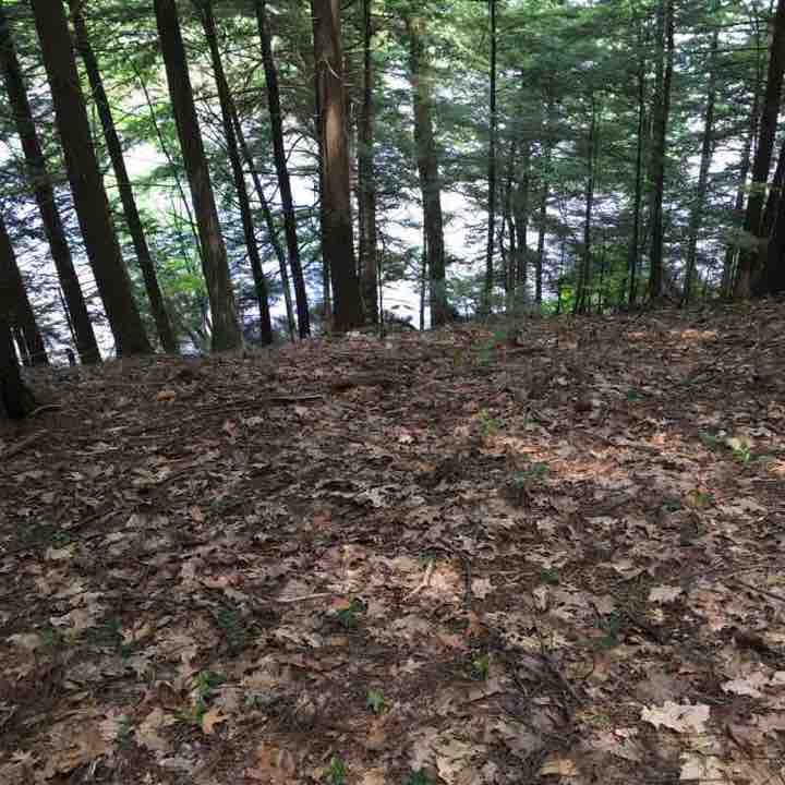 Reserva natural de Hudson Pointe Sendero Queensbury, Nueva York