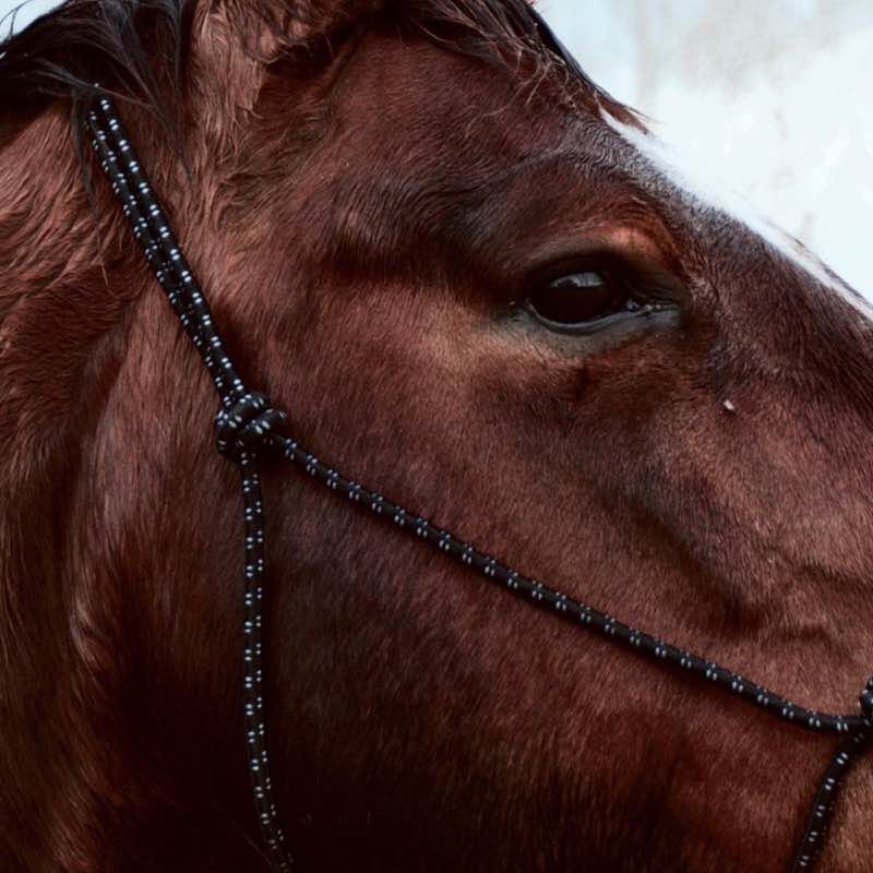 Al Nasiriah High School