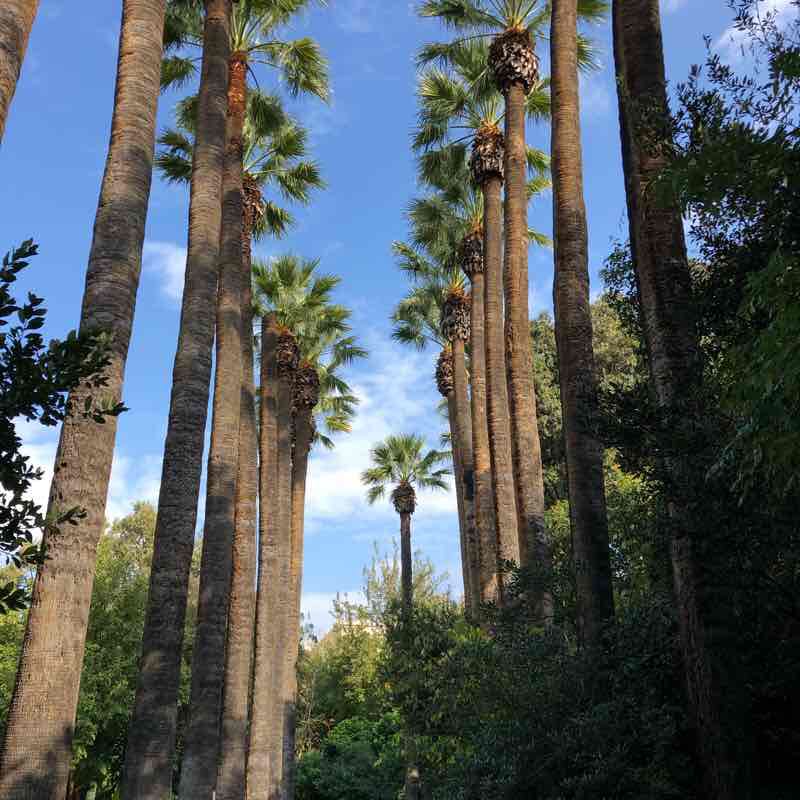National garden,Athens,Greece