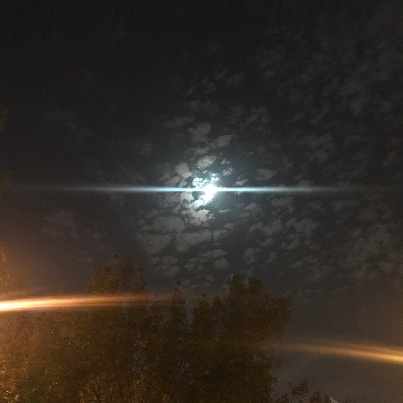 Sulaymania neighbourhood