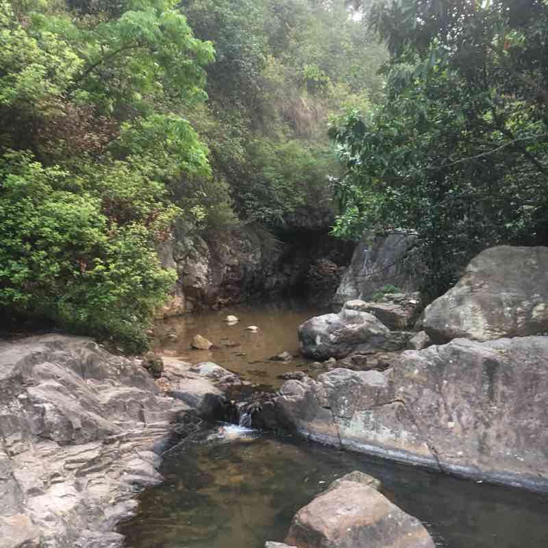 碧幽谷至茶山顶沿茶山路下山