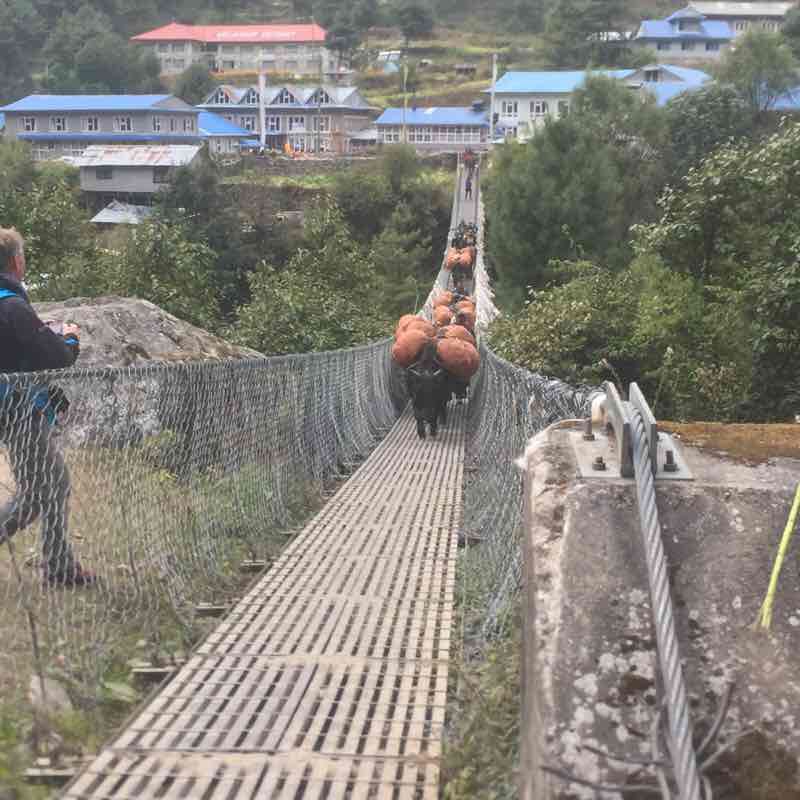Himalays ,totok 