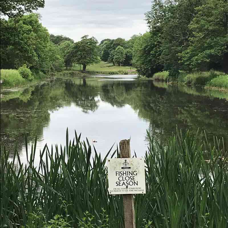 wanstead park lakes Walk London, England Pacer