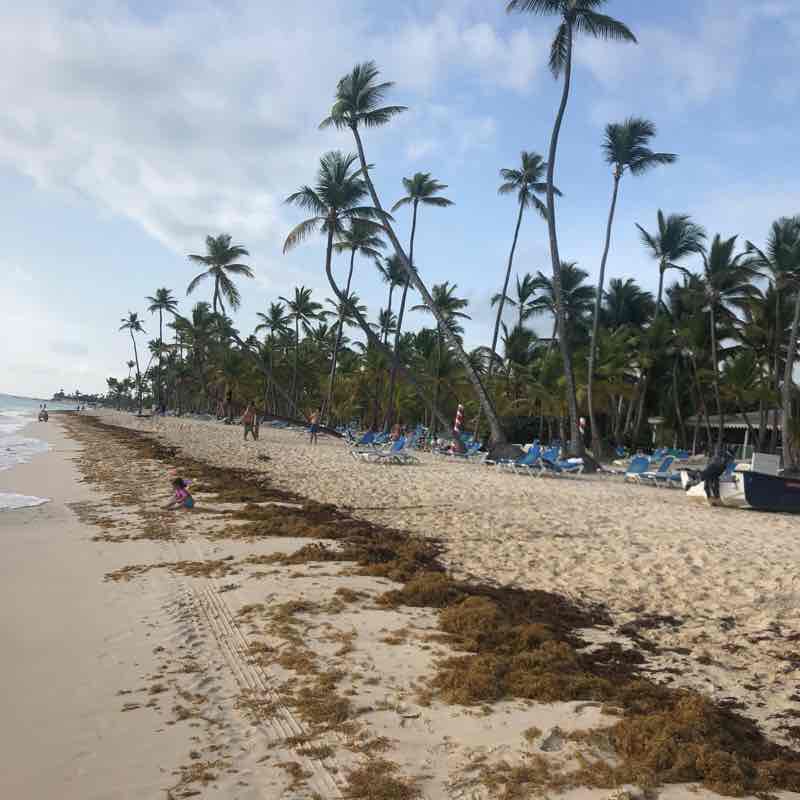 Punta Cana Route Dominican Republic walking route map in Punta Cana