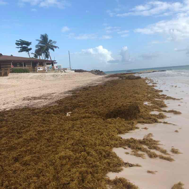 Punta Cana beach walk. Dominican Rep walking route map in Punta Cana