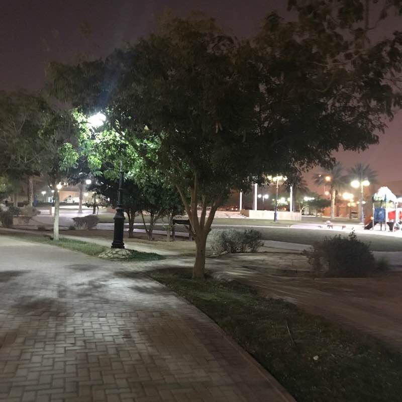 حديقة الورود