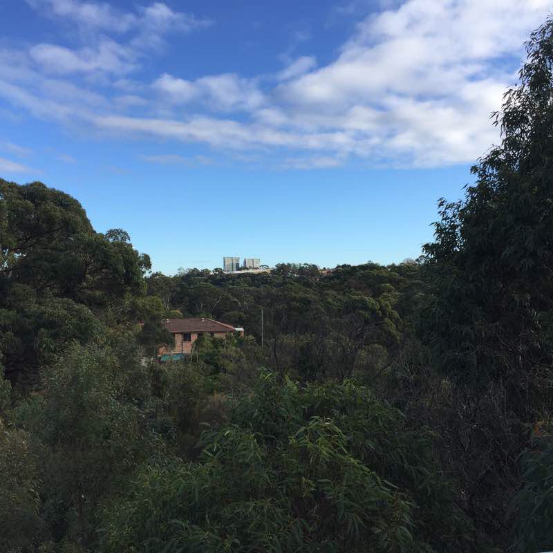 Stringy bark creek reserve  walking route map in North Ryde