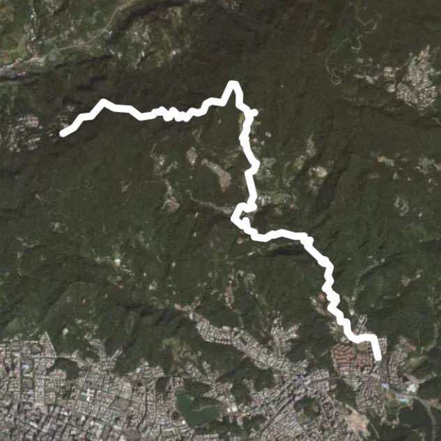 大崙頭山健走