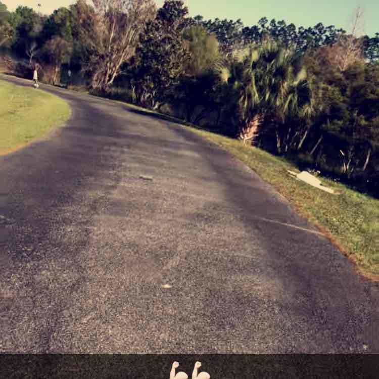 Lilyan Rohrer walking route map in Town 'n' Country