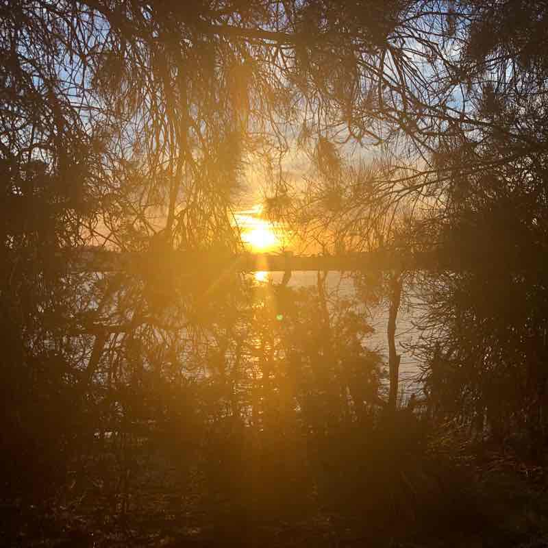 Walking around swan river 