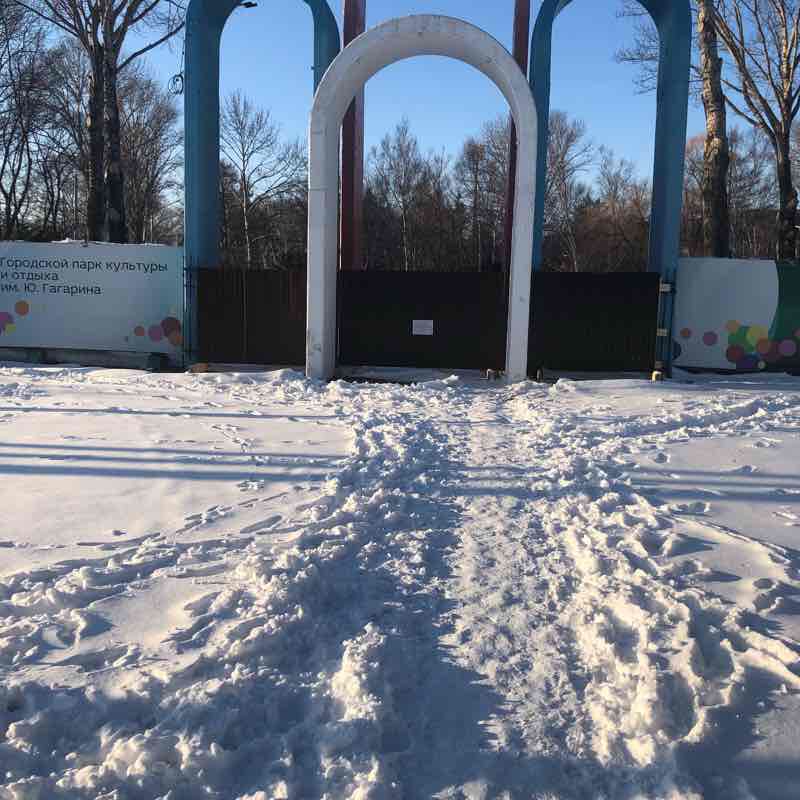 Дорога домой