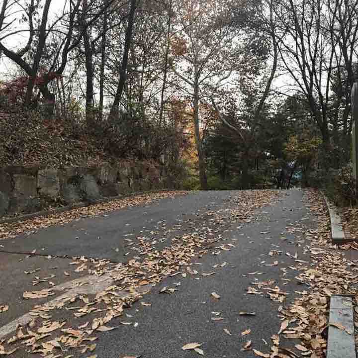 어린이 대공원 route