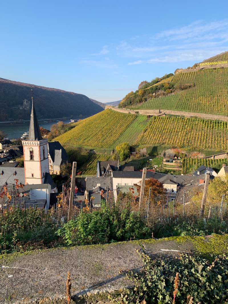Wine Trail Assmannshausen - Rüdesheim 6.8 km in Hessen | Walking Map, image size:800x1066