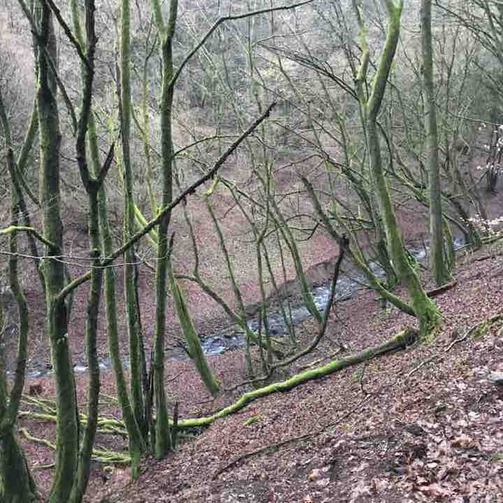 Isenburger quarry round walking route map in Isenburg