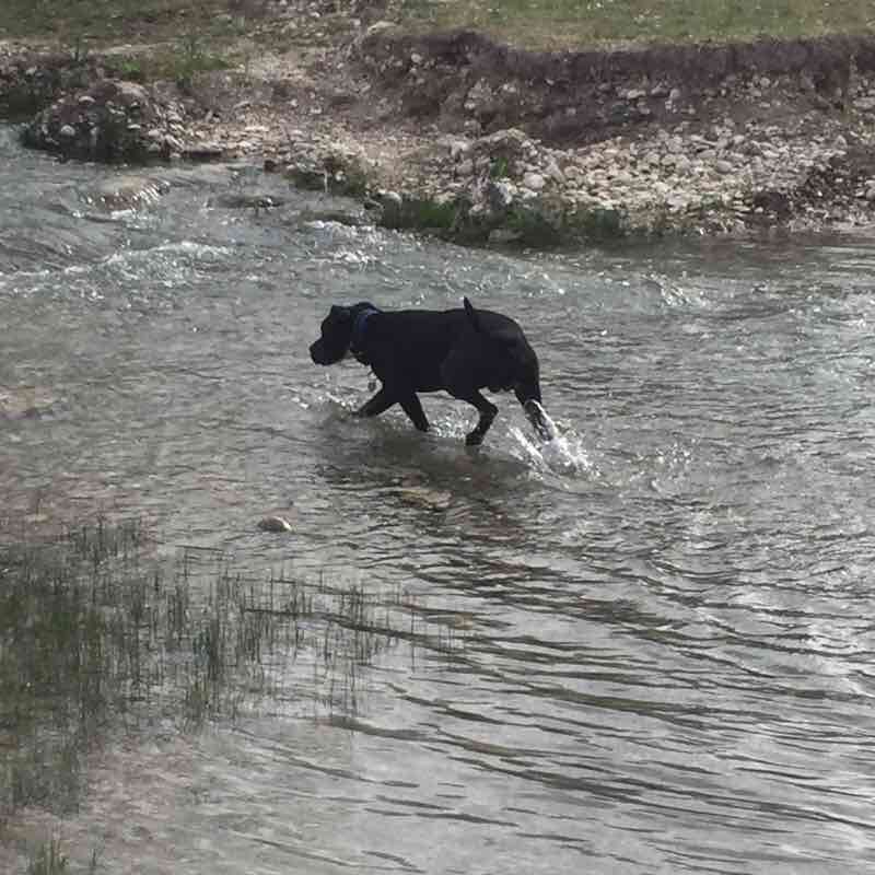Tuteo walking route map in Las Torres
