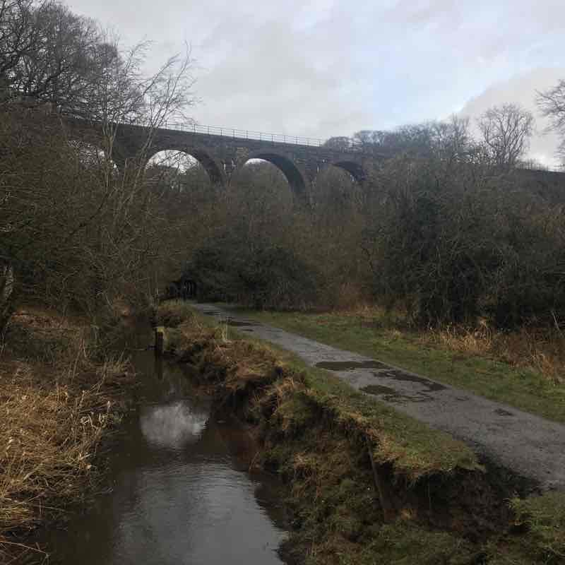 Almondell East Calder Rundschreiben. Wanderweg Mid Calder, Livingston