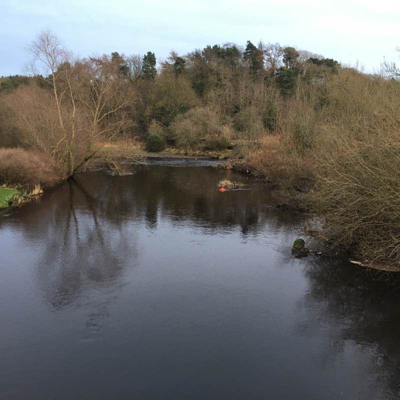 Almondell & Calderwood Country Park. Walk Mid Calder, Livingston