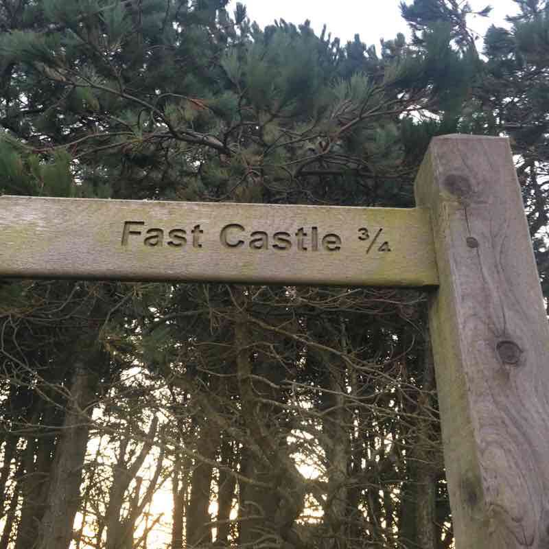 Fast Castle from Dowlaw Farm. walking route map in Coldingham