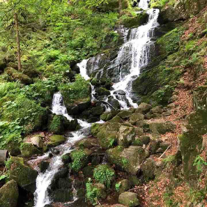 Cascade circuit of the SERVA walking route map in Natzwiller