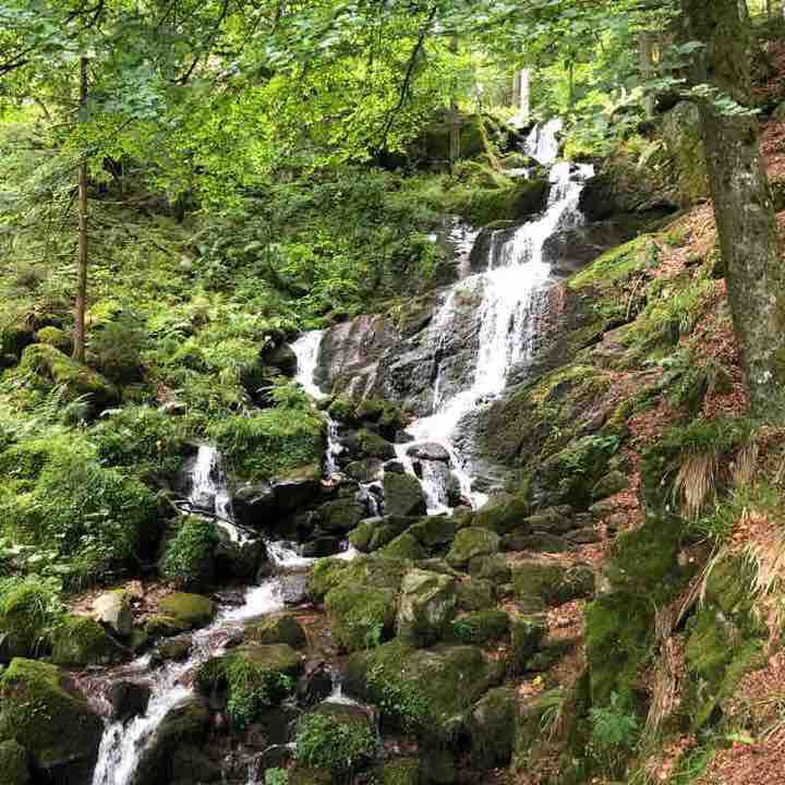 Pass of the Perheux from Neuwiller la Roche walking route map in Natzwiller