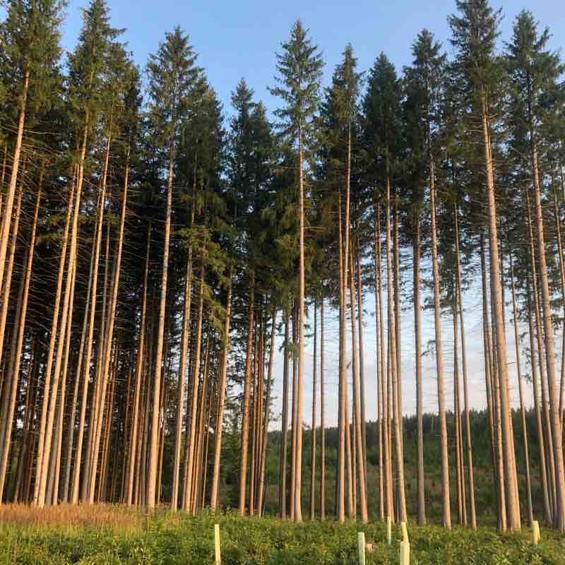 Day 7 of the hike Schwyz to Prague. walking route map in Mindelheim