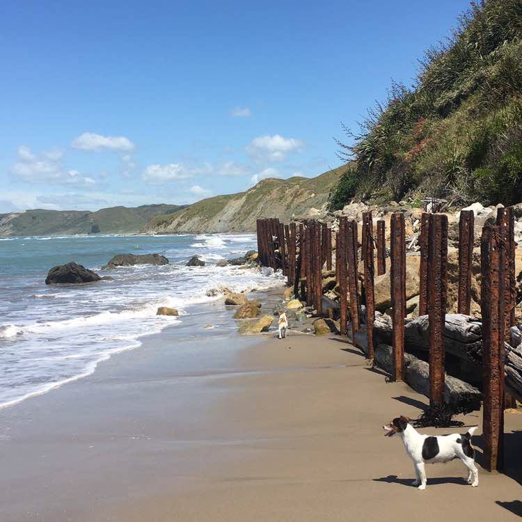 Whangara Beach walking route map in Whangara