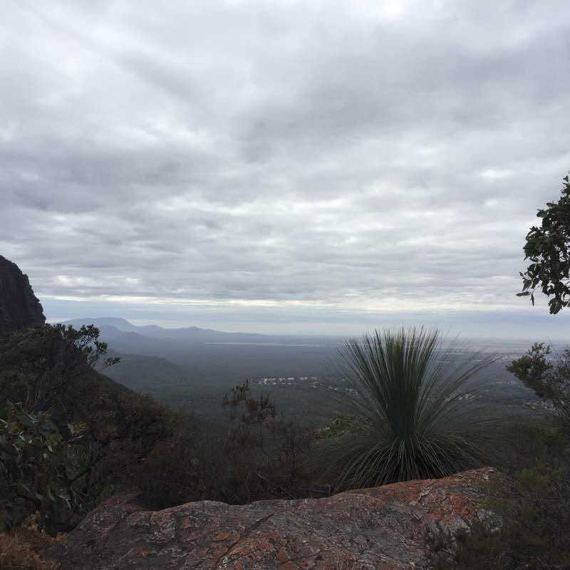 Mount Abrupt walking route map in Bornes Hill