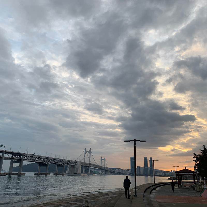 수변공원과 수영가ㅇ