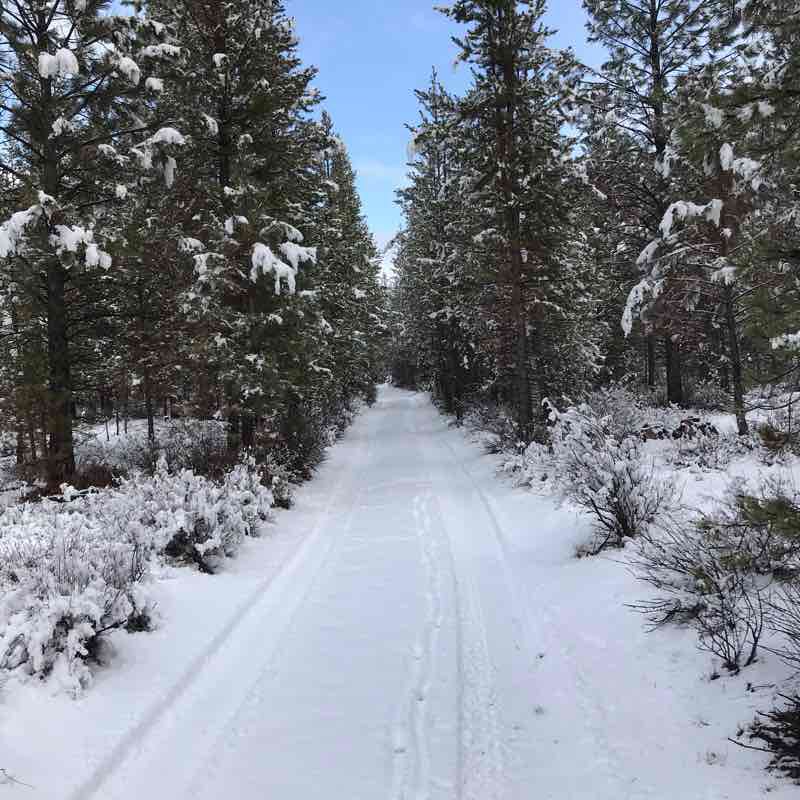 Wagon Wheel Ranch Rt A Walk Trail La Pine, Oregon, USA Pacer