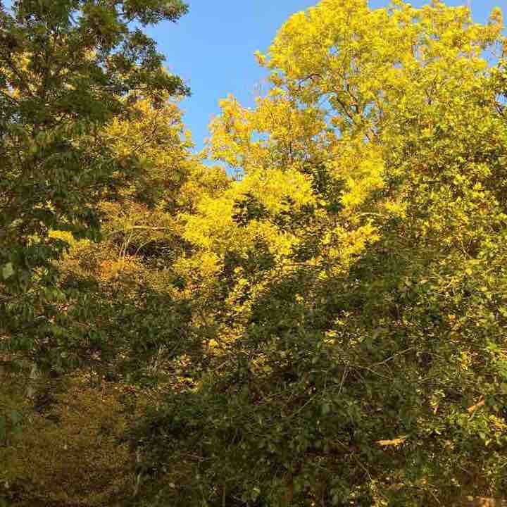 Quellentahl walking route map in Glücksburg (Ostsee)