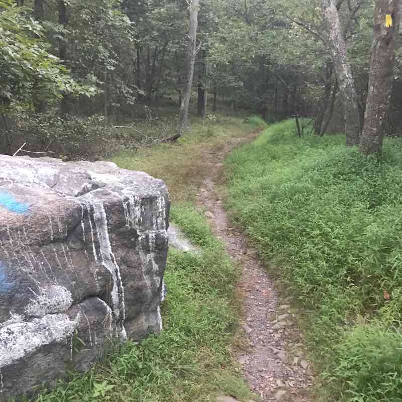 Evening hike walking route map in Bloomfield