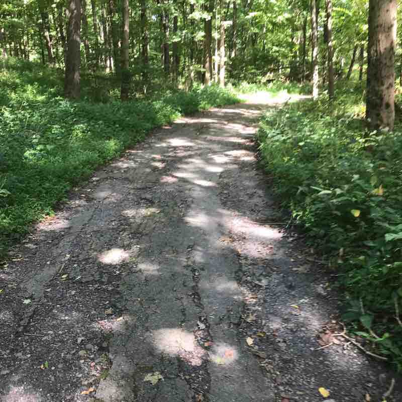 MT. Minsi on the Appalachian trail Hike Delaware Water Gap