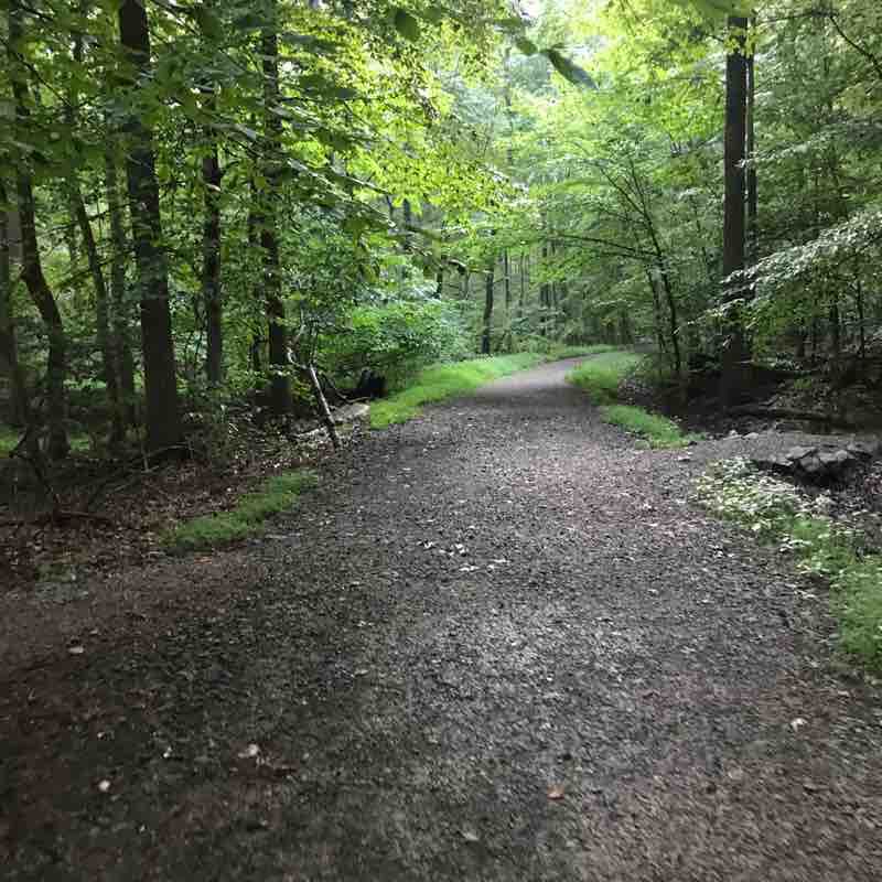 Exploring new trails this evening Hike Montclair, New Jersey, USA Pacer