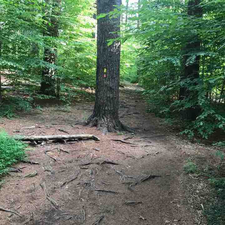 South mountain easy trail walking route map in South Orange Village