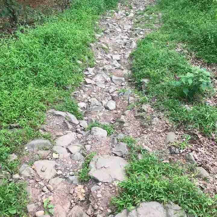 A long days hike walking route map in Bloomfield
