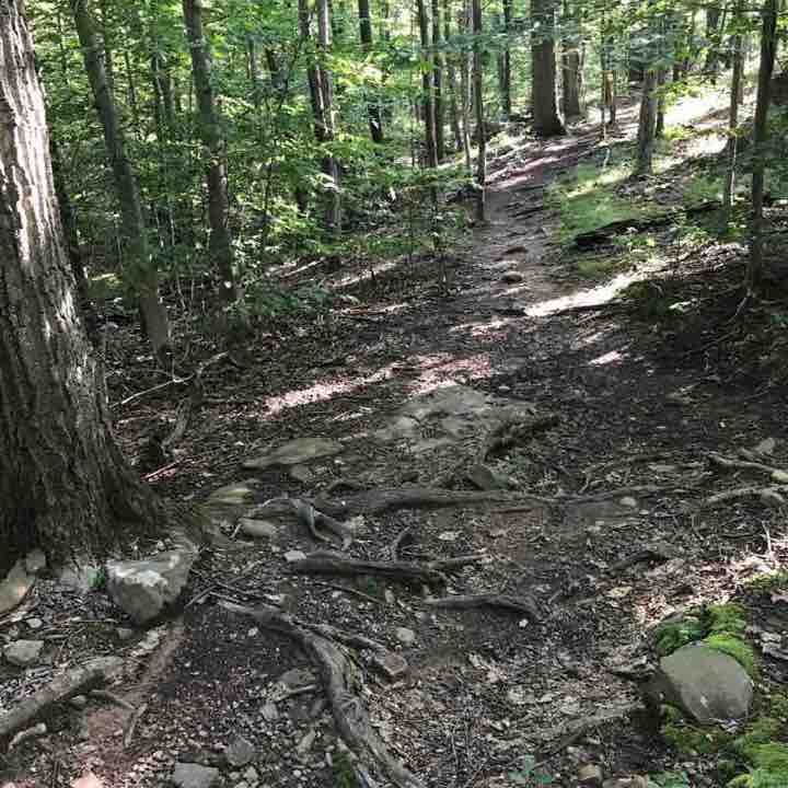 I forgot to turn it on when I started the hike.