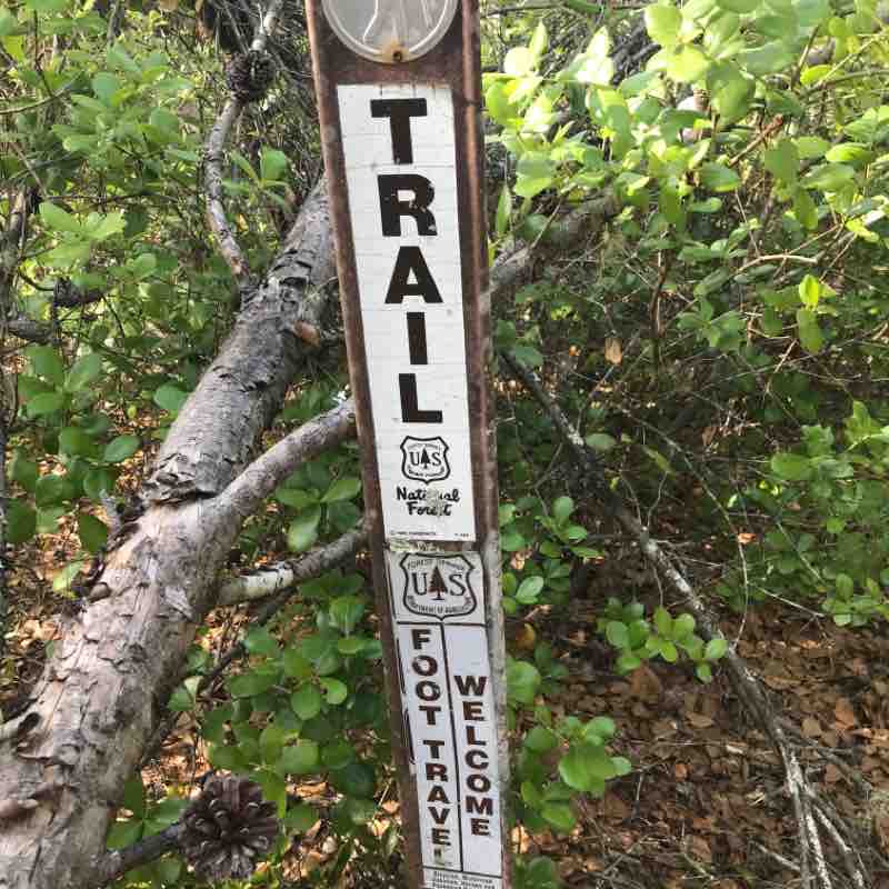 Friday Afternoon Hike Florida Trail & 316