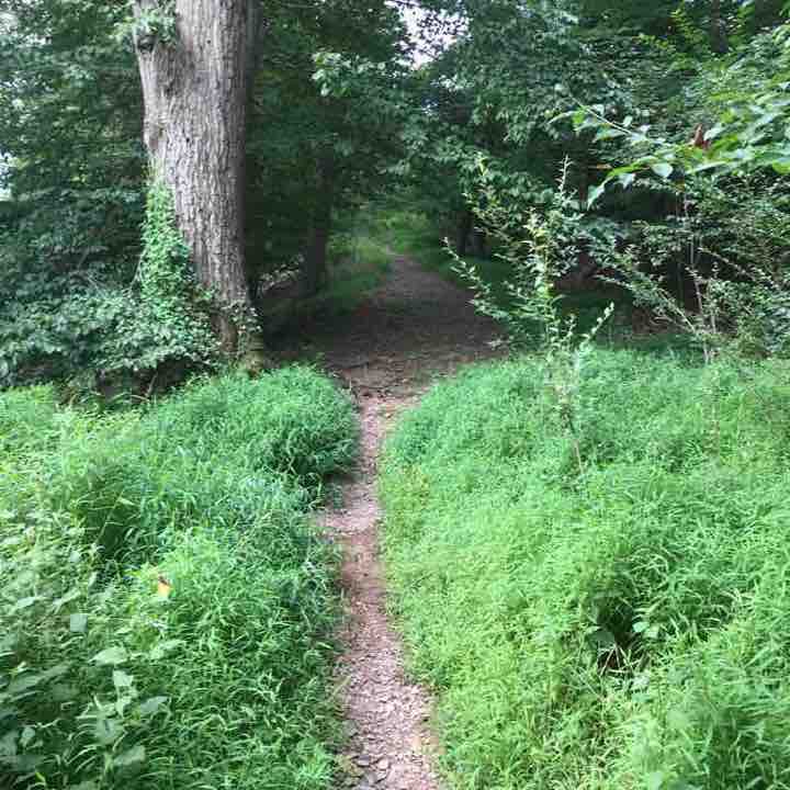 A.T training hike walking route map in Bloomfield