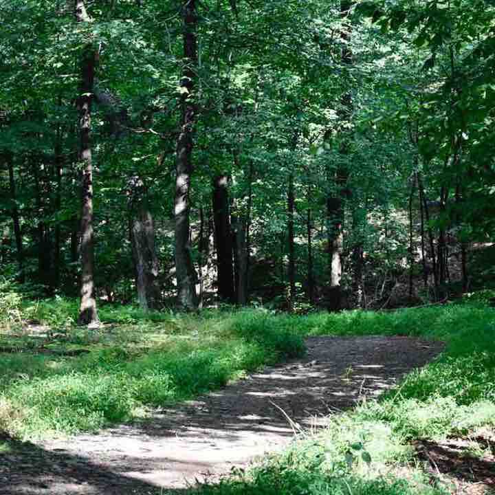 Morning walk walking route map in Bloomfield