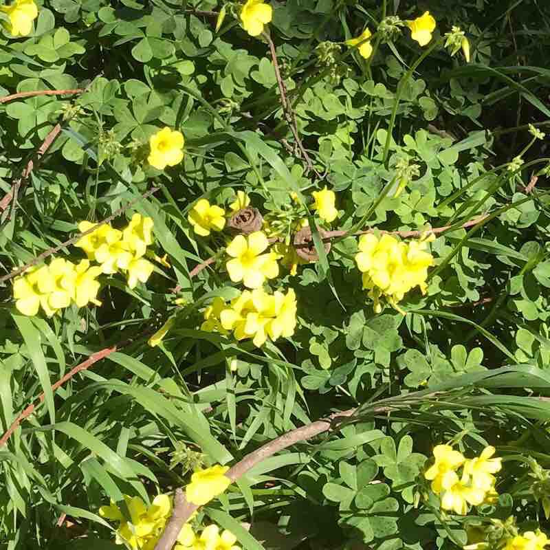 Waller Park, Santa Maria, CA