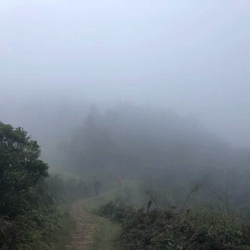 From FengGueZuei to QingTianGang