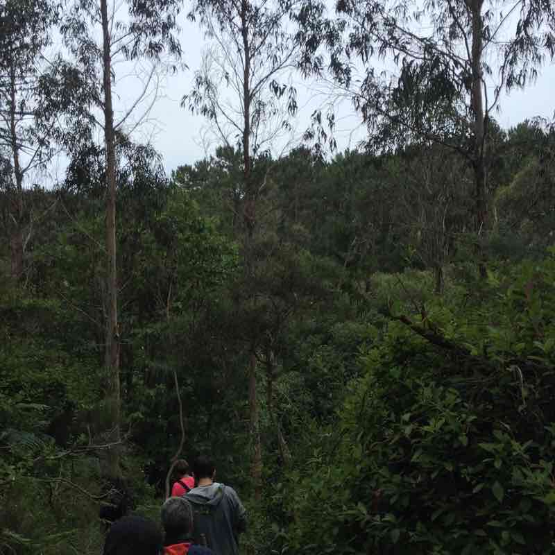 Ponteceso walking route map in Ponteceso