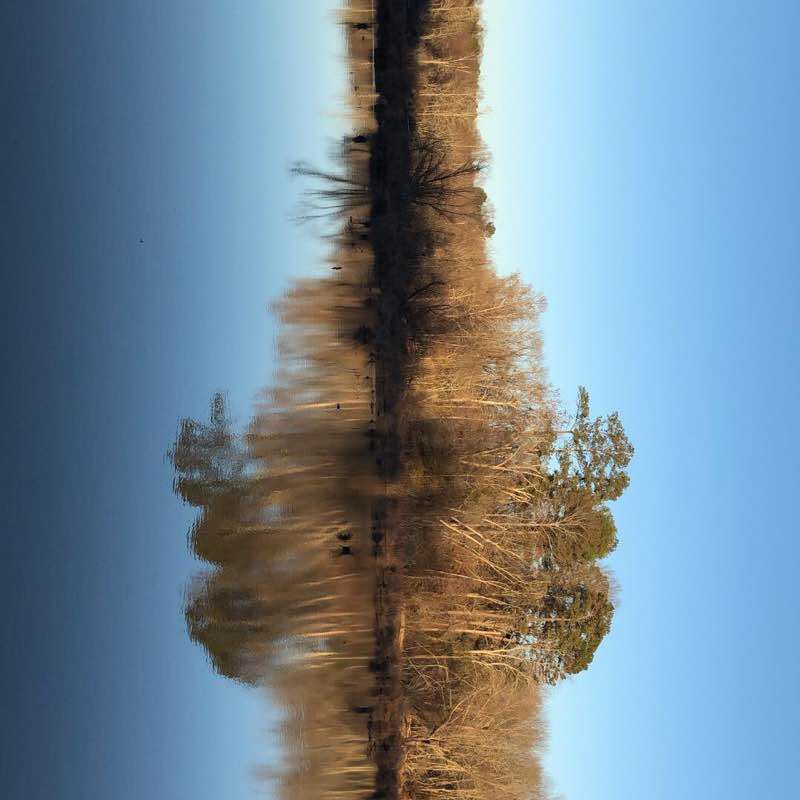 Trails at George Pierce Park