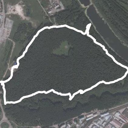 Гилёвская роща 