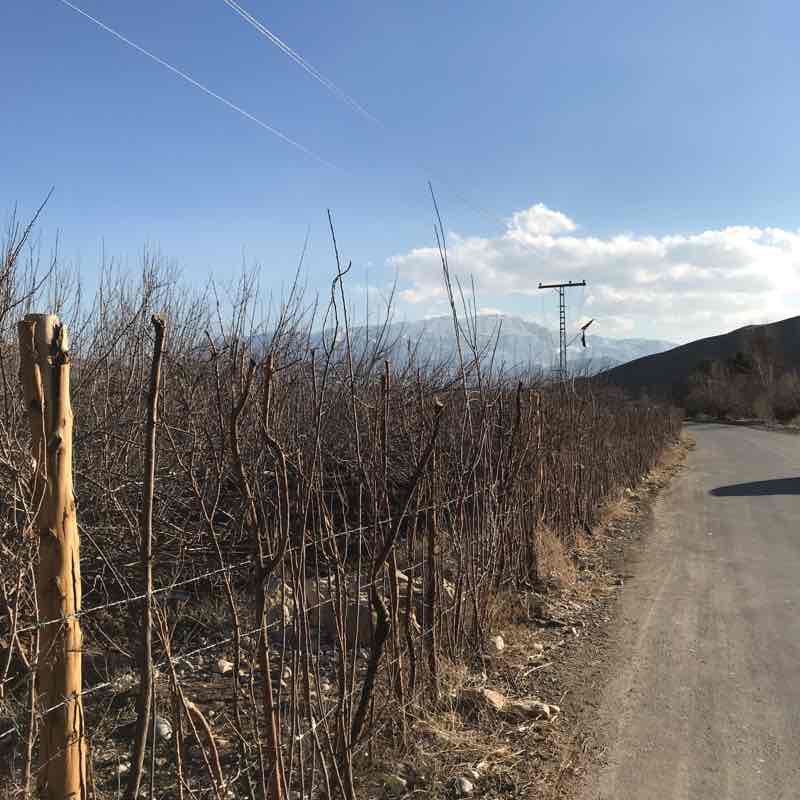 Mr. Valley walking route map in Quetta