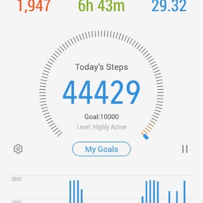 Walk n walk D 0504280658 post image