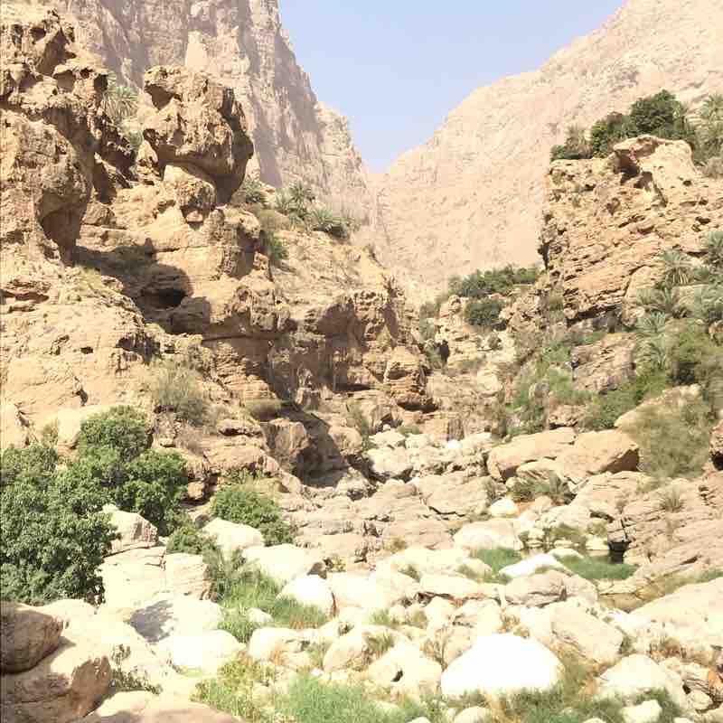 Mepam Tiwi walking route map in سيماء