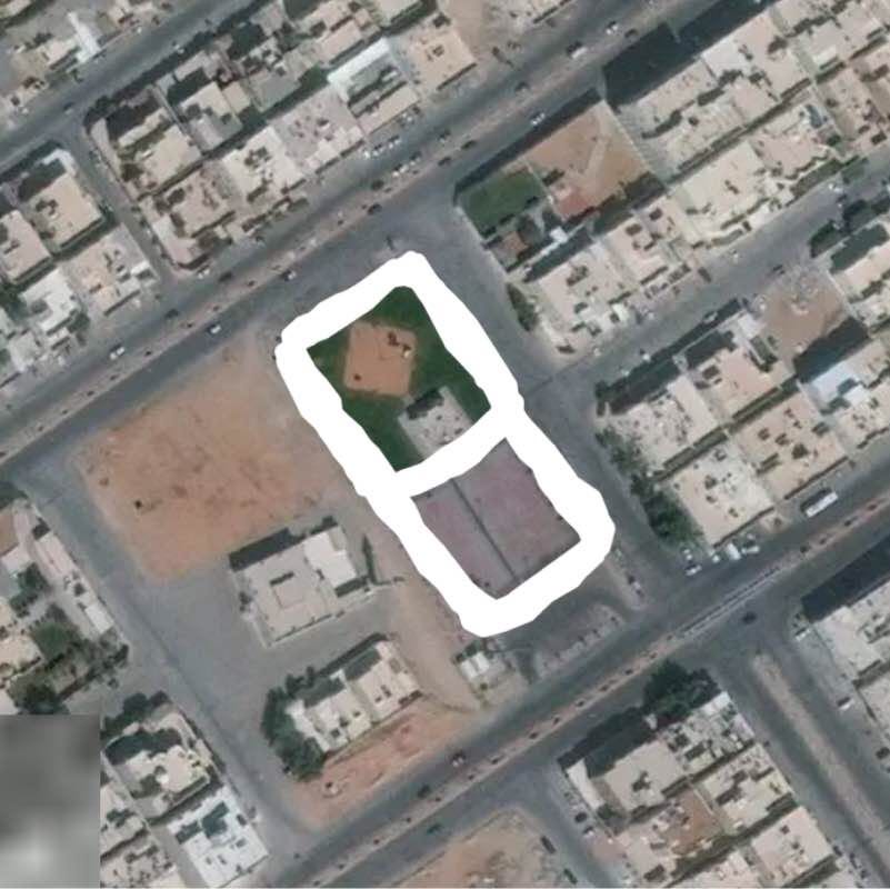 King Faisal Walking RAce