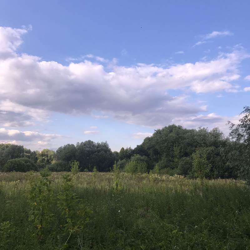 По строгинской косе