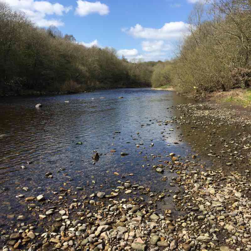 Low Coniscliffe river (almost) circular 